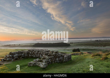 Römisches Kastell Housesteads, bleibt das Osttor, Südturm gesehen in der Morgendämmerung mit tiefliegenden Nebel im Hintergrund Stockfoto