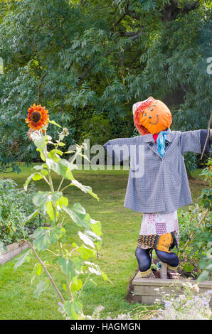 Vogelscheuche im Garten Zuteilung ein Student in Edinburghs Royal Botanic Gardens Stockfoto