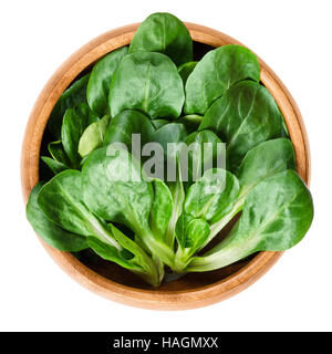 Feldsalat in Holzschale, auch gemeinsame Cornsalad, Feldsalat oder Rapunzel. Valerianella Locusta. Frische grüne Blattgemüse. Stockfoto