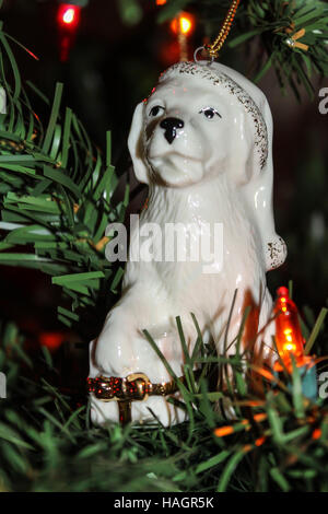 Weihnachten Hund, golden Retriever, Ornament in schlafen Kappe ruhen seine Pfote auf ein Geschenk hübsch verpackt für den Urlaub Stockfoto
