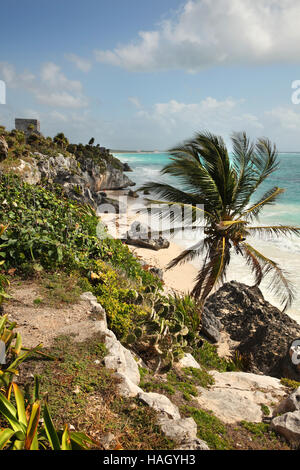 Ruinen von Tulum entlang der wunderschönen karibischen Küste, Maya ummauerten Stadt. Playa del Carmen, Halbinsel Yucatán, Mexiko. Stockfoto