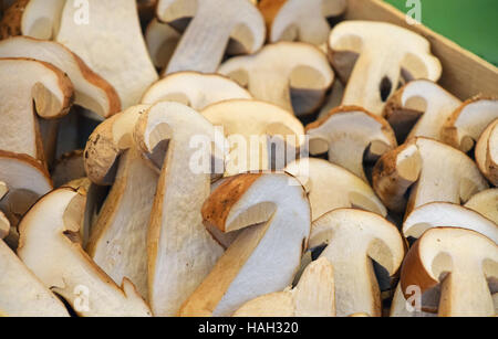 Frische Herbstsaison halbiert geschnitten Steinpilze (Ceps, Boletus Edulis) in Holzkiste auf Einzelhandel Bauernmarkt, Nahaufnahme, hoher Winkel Stockfoto