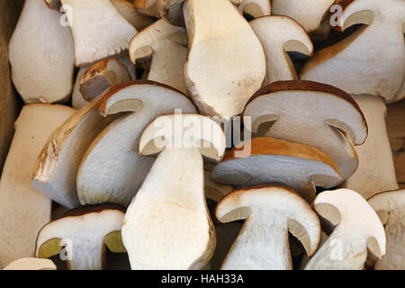 Frische Herbstsaison geschnittenen Steinpilzen (Ceps, Boletus Edulis) in Holzkiste auf Einzelhandel Bauernmarkt halbiert, Nahaufnahme, erhöhte Draufsicht, hohe angl Stockfoto