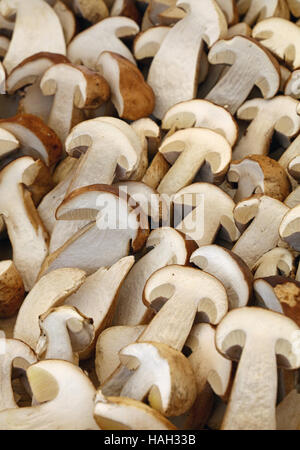 Frische Herbstsaison geschnittenen Steinpilzen (Ceps, Boletus Edulis) in Holzkiste auf Einzelhandel Bauernmarkt halbiert, Nahaufnahme, erhöhte Draufsicht, hohe angl Stockfoto