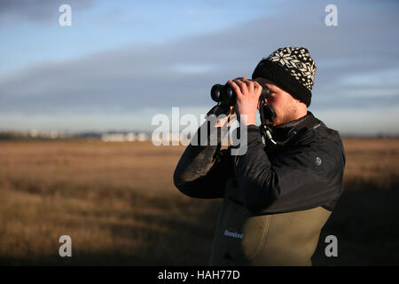 Mitglied einer Birdwatch Ireland führte die Mannschaft im Rahmen eines Projekts, Watvögel, einschließlich überwinternden Austernfischer und Brachvogel, in die Bucht von Dublin aus Bull Island zu fangen. Stockfoto