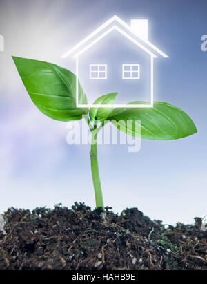 Haus-Symbol aus einer Neuanlage Sämling, Anlagekonzept Stockfoto