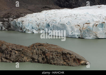 Lago Torre Aussichtspunkt mit Wanderer in der Nähe von El Chalten im Los Glaciares Nationalpark, Patagonien, Argentinien Stockfoto