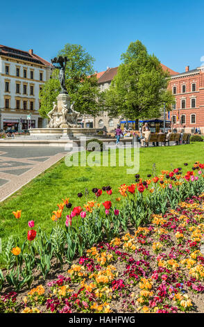 Springblumen am Postplatz in der Innenstadt von Goerlitz, Sachsen, Deutschland Stockfoto