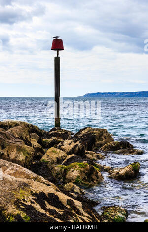 Felsigen Landzunge an Ringstead Bay, eine Möwe auf die Warnung Marker, Dorset, England, Großbritannien Stockfoto