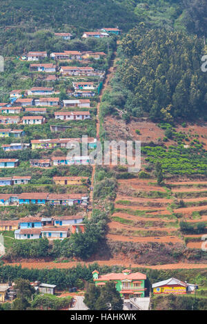 Arbeiterhäuser am Hang, Ooty, Tamil Nadu, Indien, auf der Teeplantage. Stockfoto