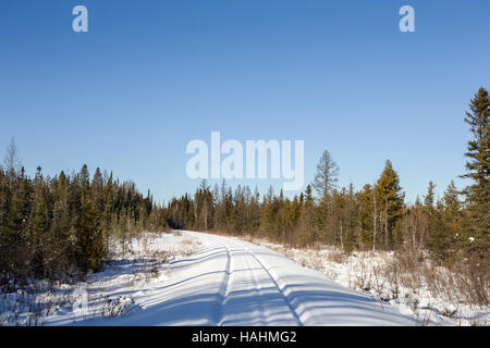 Schneebedeckten Eisenbahnschienen führt zu einem Kiefer-Wald und Kopie Raum in dem klaren, blauen Winterhimmel. Stockfoto