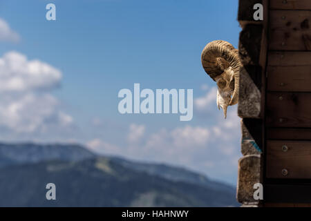 alte Ziege Schädel auf die Holzwand und natürliche Holzdach Hintergrund, perspektivisch verschwimmen Himmel Stockfoto