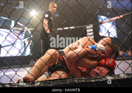 SYKTYVKAR, Russland - 26. November 2016: Parma MMA Profikämpfen-7 Turnier. Stockfoto