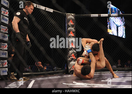 SYKTYVKAR, Russland - 26. November 2016: Parma MMA Profikämpfen-7 Turnier. Stockfoto