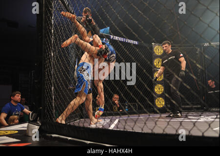 SYKTYVKAR, Russland - 26. November 2016: Parma MMA Profikämpfen-7 Turnier. Stockfoto