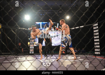 SYKTYVKAR, Russland - 26. November 2016: Parma MMA Profikämpfen-7 Turnier. Stockfoto