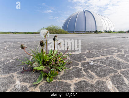 "Tropical Island" Resort und Themenpark in Brandenburg, Deutschland, untergebracht in der ehemaligen Luftschiffhalle der Cargolifter "Aerium". Stockfoto