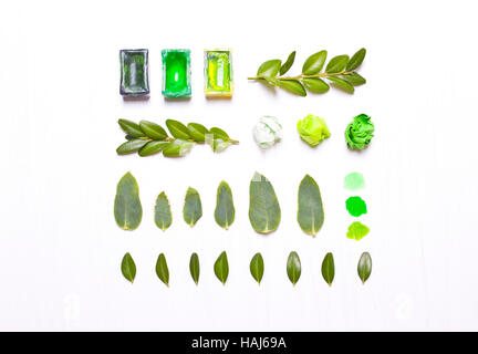 Farben, grüne Blätter in Folge. Concept Art. Arbeitsplatz, Designertisch. Flach legen, obenliegende Ansicht. Geben Sie flach, oben Ansicht von Stockfoto