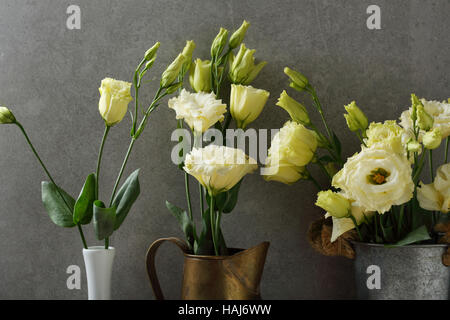 Blumen in verschiedenen Vase, konkrete Hintergrund Stockfoto