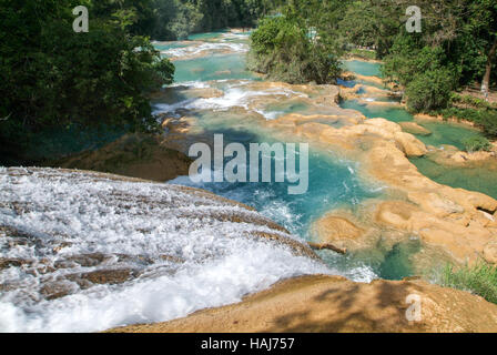 Aqua Azul Wasserfall in Chiapas, Mexiko Stockfoto