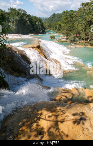 Aqua Azul Wasserfall in Chiapas, Mexiko Stockfoto