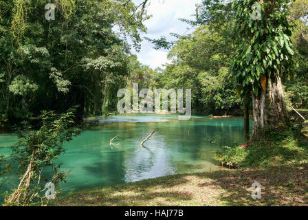 Aqua Azul Wasserfall in Chiapas, Mexiko Stockfoto