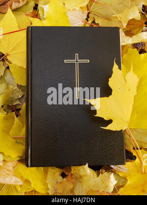 Bibel. Bibel und Herbstlaub. Stockfoto