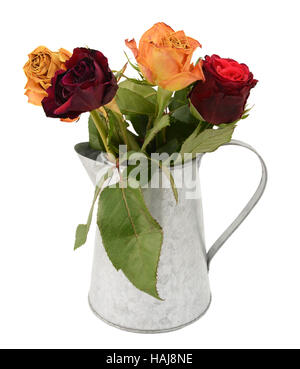 Vier verblasste rose Blumen vorbei ihr Bestes mit trocken, knackig Blütenblätter in eine rustikale Metall Krug isoliert auf weißem Hintergrund Stockfoto