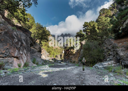 Eindrucksvolle Schlucht der Angst "Barranco de Las Angustias" in La Palma Kanarische Inseln. Weibliche Wanderer führt durch das trockene Flussbett. Stockfoto