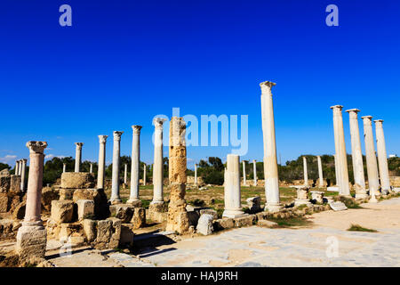 Römische Salamis Ruinen, Famagusta, Ammochostos, Gazimagusta, Nord-Zypern Stockfoto