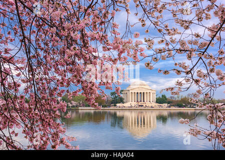 Washington, DC am Tidal Basin und Jefferson Memorial im Frühjahr.