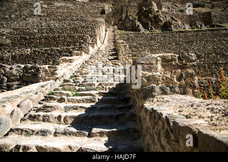 Schritte auf landwirtschaftlichen Terrassen, Ruinen von Ollantaytambo, Ollantaytambo, Cusco, Peru Stockfoto