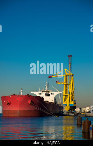 Bulk Schiff entladen Kohle im Hafen von amsterdam Stockfoto