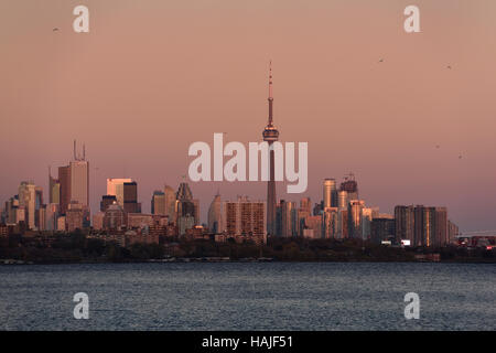 Sonnenuntergang über Toronto Skyline von Humber Bay Park vor super Mondaufgang Stockfoto