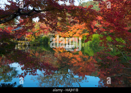 Herbstfarben im Hojo Teich bei Eikan-Do Zen-Tempel in Kyoto, Japan Stockfoto