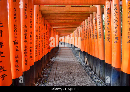 Endlosen Torii Schrein Tore am Fushimi Inari Schrein, Kyoto, Japan Stockfoto