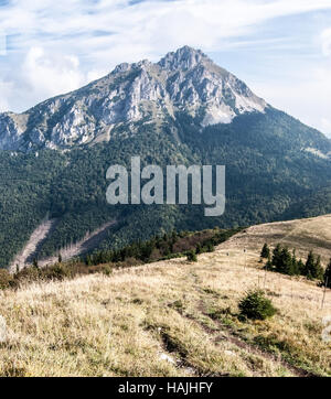 felsige Dolomitian Velký Rozsutec Hügel von Poludnovy Grun Hügel mit Bergwiese im Herbst Mala Fatra Gebirge in der Slowakei Stockfoto