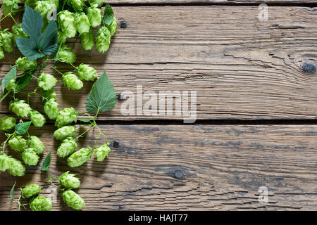 Hopfenzapfen auf dem alten Holzboden Stockfoto