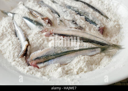 Panierte Sardellen, sauber und fertig gekocht werden. Sardellen in die Schüssel gefüllt mit weißem Mehl. In Öl braten. Stockfoto