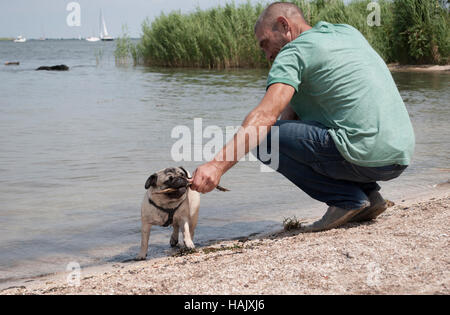 attraktiver Mann, Männchen, spielen mit kleinen Mops Welpen Hund draußen am Strand Stockfoto