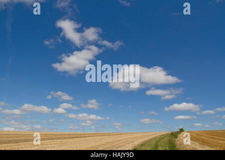 Blauer Himmel und Wolken über einem frisch geernteten Feld Stockfoto