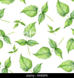 Nahtlose Muster. Handgezeichnete Aquarell realistische Darstellung. Himbeer Green-Leaf. Isoliert. Sommer, helle, luftige Muster. Stockfoto
