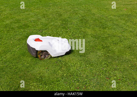 Roboter-Rasenmäher arbeiten auf dem grünen Rasen Stockfoto