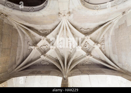 Eine Detail-Aufnahme des Treppe Dach auf dem Schloss von Azay-le-Rideau. Es ist eines der frühesten Renaissance Schlösser heute stehen. Stockfoto