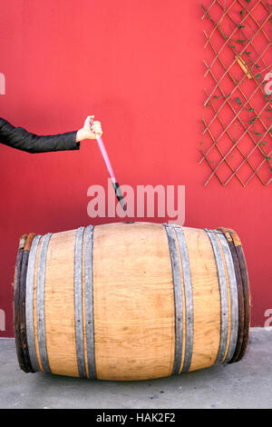 Winzer immer Probe Rotwein vom Fass Stockfoto