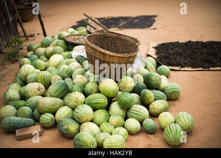 MINNANTHU, Myanmar – Ein Haufen frischer Wassermelonen im Dorf Minnanthu in Bagan, Myanmar. Das kleine Dorf Minnanthu liegt inmitten der archäologischen Ruinen der Ebene von Bagan und bewahrt die traditionelle Lebensweise. Stockfoto