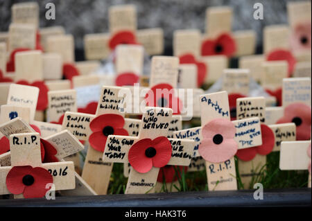 Mohnblumen am Kriegerdenkmal außerhalb der Pfarrkirche, Bury, Lancashire. Bild von Paul Heyes, Donnerstag, 1. Dezember 2016. Stockfoto