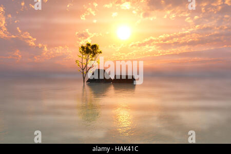 Nebligen Morgen nach der Sintflut Stockfoto