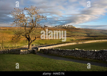 Pen-y-Gent, eines der drei Zinnen, gesehen von Selside, in der Nähe von Settle, North Yorkshire, UK Stockfoto