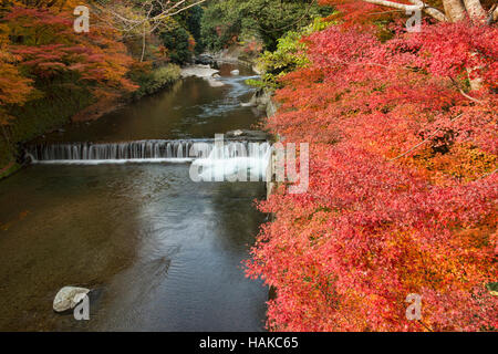 Herbstfarben entlang des Flusses Hozo im Kiyotaki, Kyoto Präfektur, Japan Stockfoto